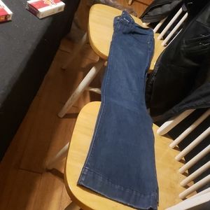 Ann Taylor loft  flare Jean's